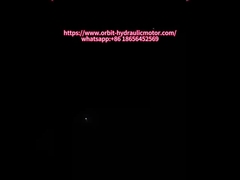 জলবাহী মোটর